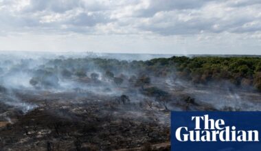 Revealed: Government quietly dropped plan to prepare England for wildfires | Wildfires