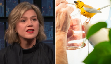 Kelly Clarkson continues social media war with Brooklyn store over pricey toy bird