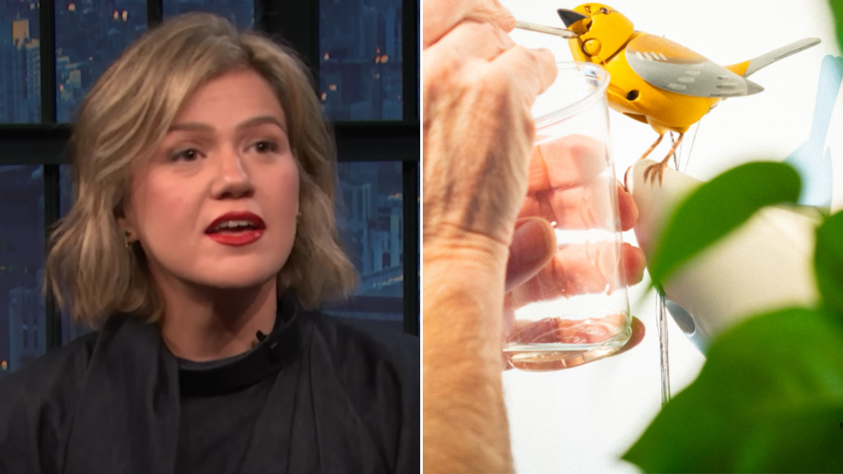 Kelly Clarkson continues social media war with Brooklyn store over pricey toy bird