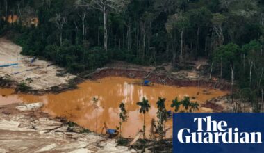 US corporate lobbyists mounted ‘blitz’ to dilute landmark EU deforestation law, report finds | Deforestation