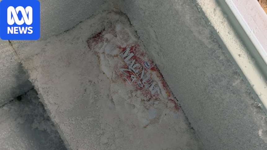 Victorian shop owner finds nearly 30-year-old Magnum Ego ice cream in freezer