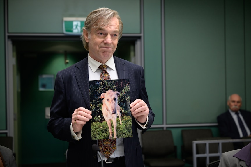 Dressed as a disgraced lawyer holding a picture of a dog, Hugo Weaving smiles softly.