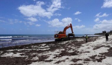 Whale carcass removed from Cottesloe beach after six-hour operation, beaches remain closed until tomorrow