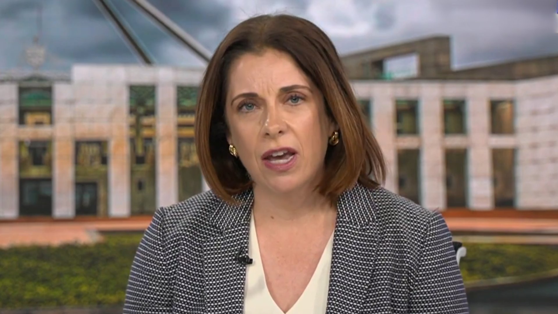 Anika Wells hits back as White House escalates fight over Australia’s social media crackdown