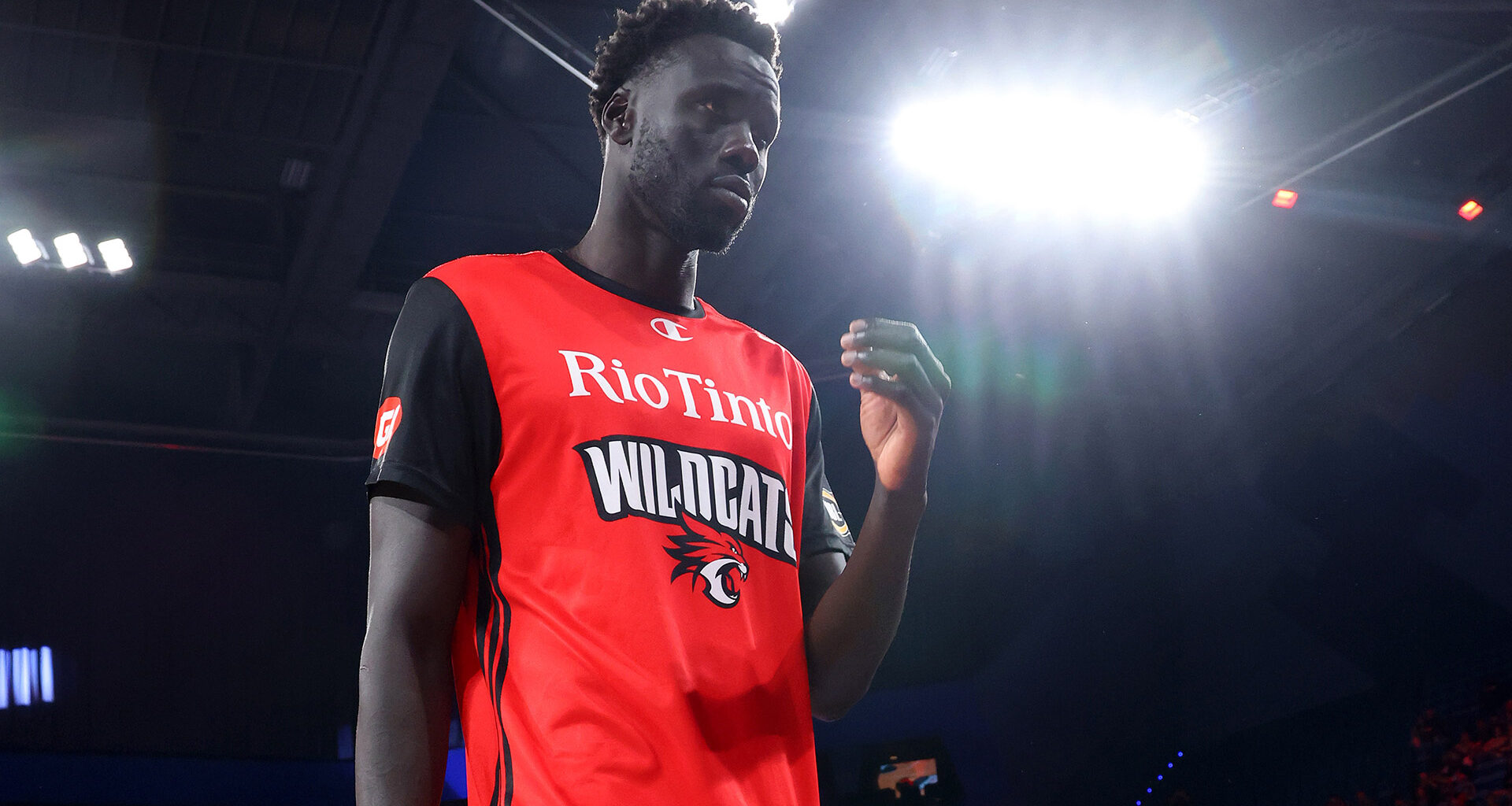 Wildcats rule out big man, star import made to wait