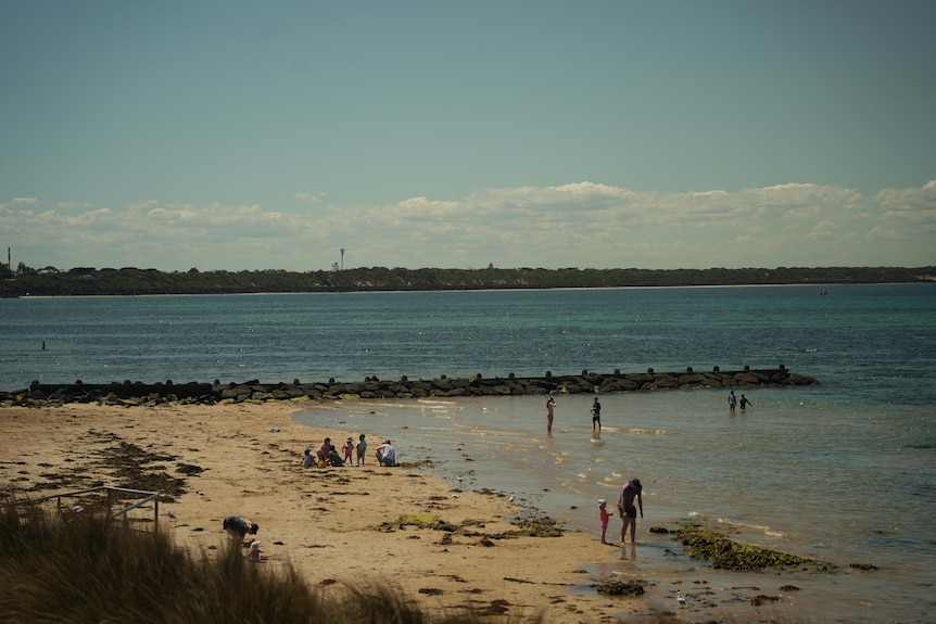Beachgoers enjoy a sunny day on the beach at Point Lonsdale. 