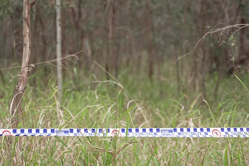 Grassland with police tape.