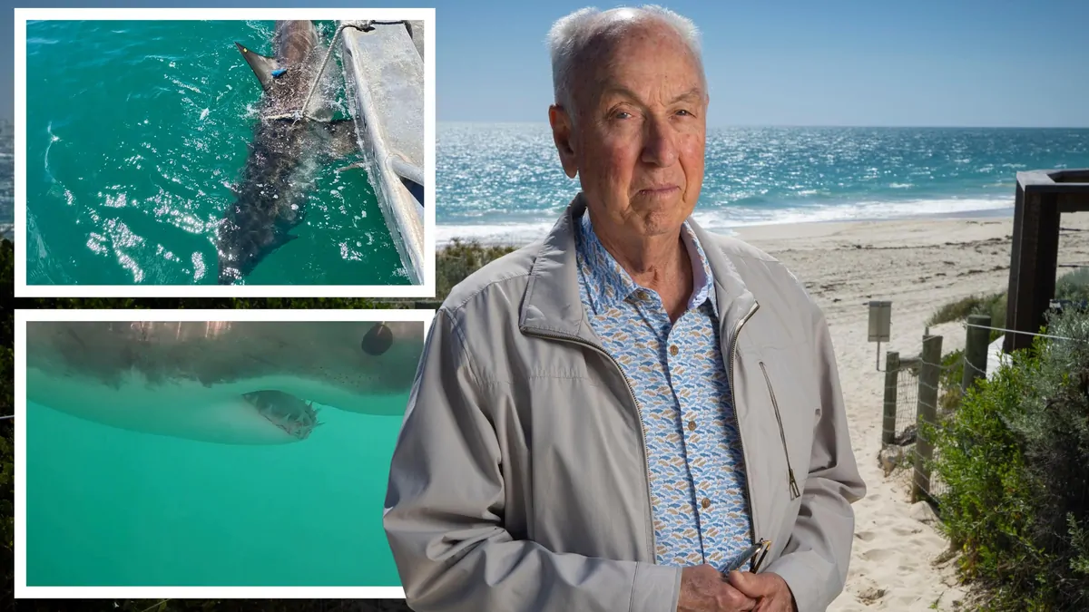 Retired fisheries scientist Jim Penn exposes scary truth about shark numbers off WA’s coast