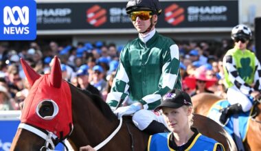 Caulfield Cup death of Ohope Wins leads to calls for accountability from racing industry