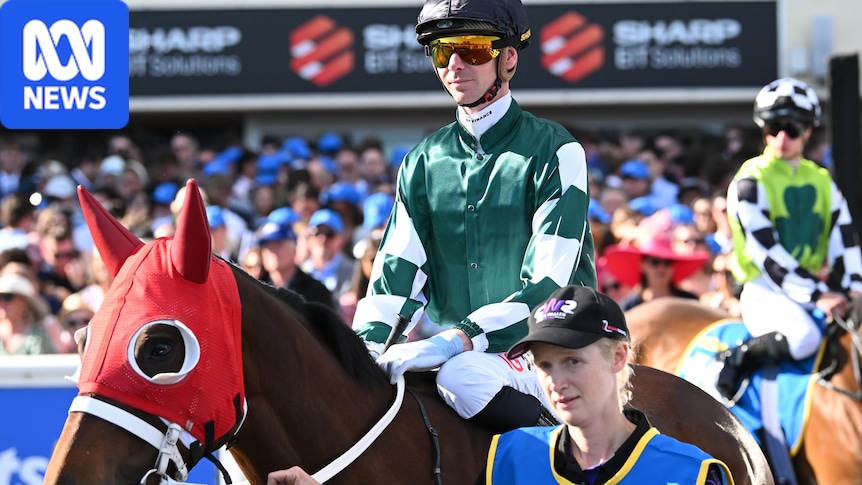 Caulfield Cup death of Ohope Wins leads to calls for accountability from racing industry