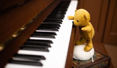 Teddy bear playing the piano