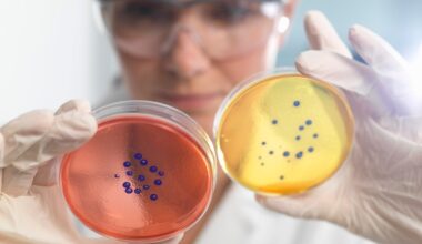 AI joins the fight against superbugs