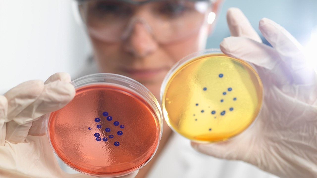 AI joins the fight against superbugs