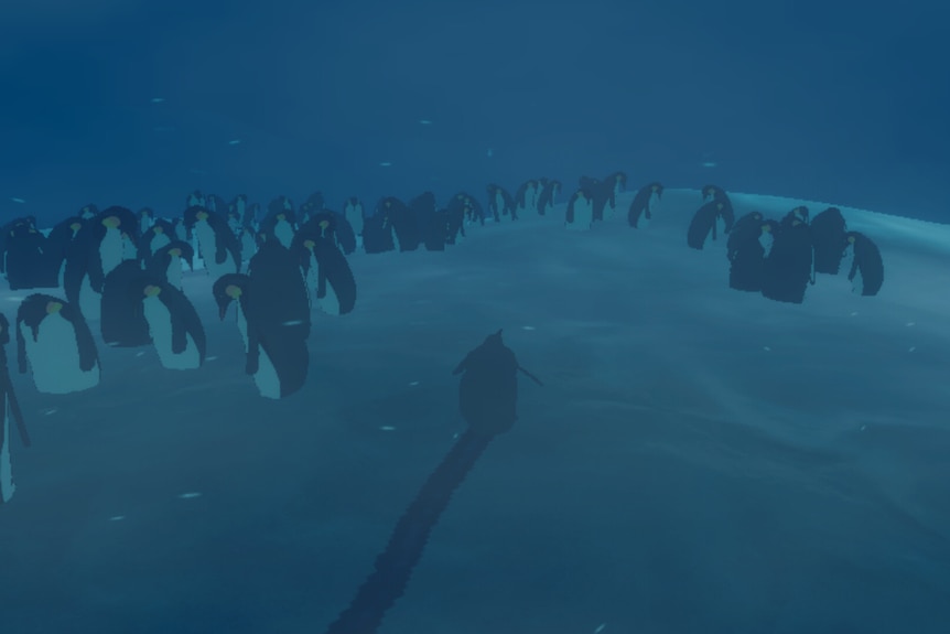 Penguin Colony
