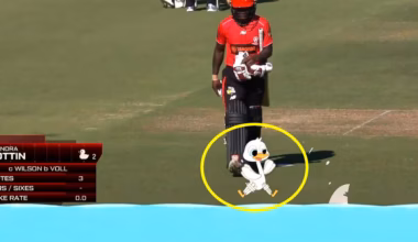 Cricket fans lose it at brutal new Channel 7 feature as Women’s Big Bash League gets underway