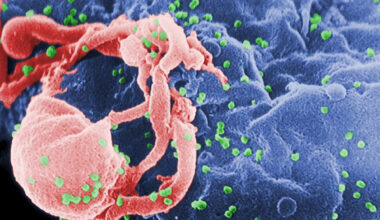 1 person in 60 has HIV in Fiji: national emergency declared