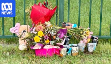Man dies in hospital a week after North Albury stabbing