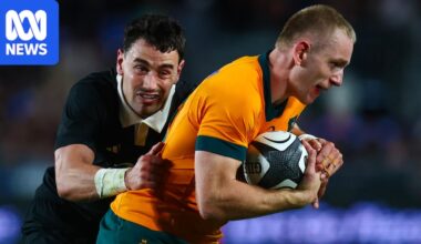 Wallabies must 'walk the walk' against All Blacks if 40-year-old Eden Park Bledisloe Cup curse is to end