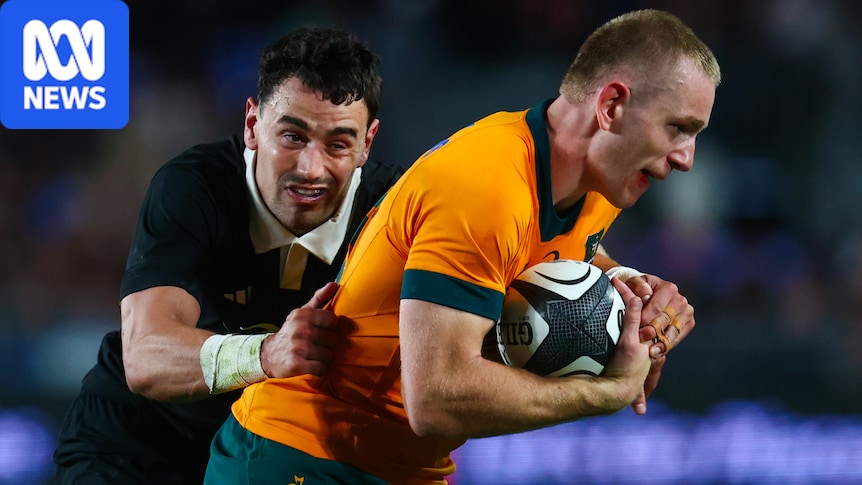 Wallabies must 'walk the walk' against All Blacks if 40-year-old Eden Park Bledisloe Cup curse is to end