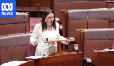 Jacqui Lambie slams 'nasty' One Nation cartoon mocking vaginal prolapse