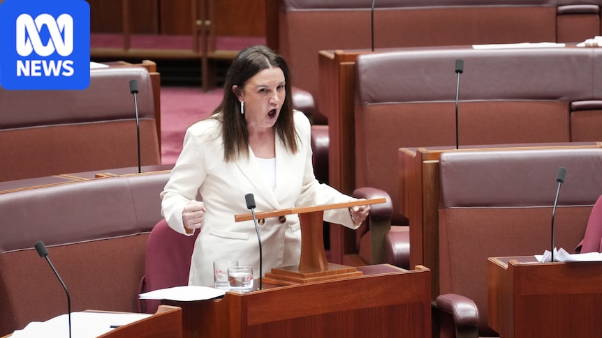 Jacqui Lambie slams 'nasty' One Nation cartoon mocking vaginal prolapse