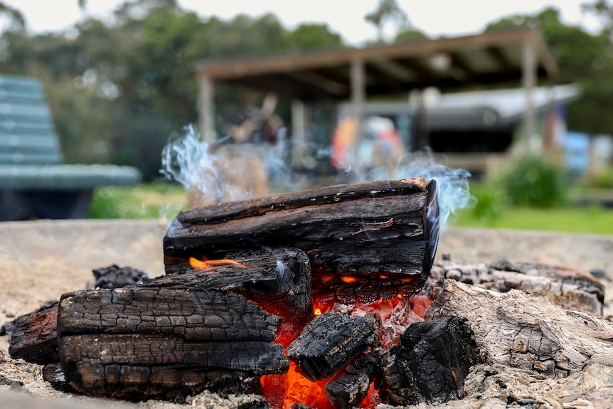 An open wood fire gently smokes outside with greenery and structures behind it