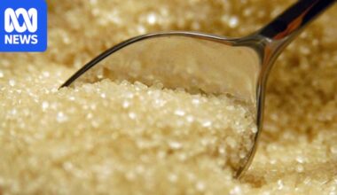 Farmers relieved as global sugar prices rally amid key producer Brazil's presidential election