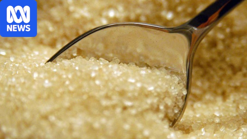 Farmers relieved as global sugar prices rally amid key producer Brazil's presidential election