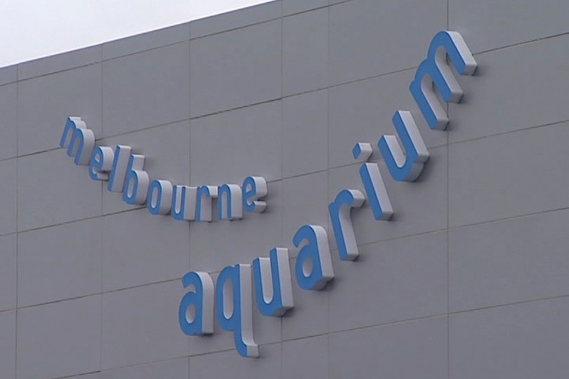 Zoom in of "Melbourne aquarium" sign on the side of a grey building.