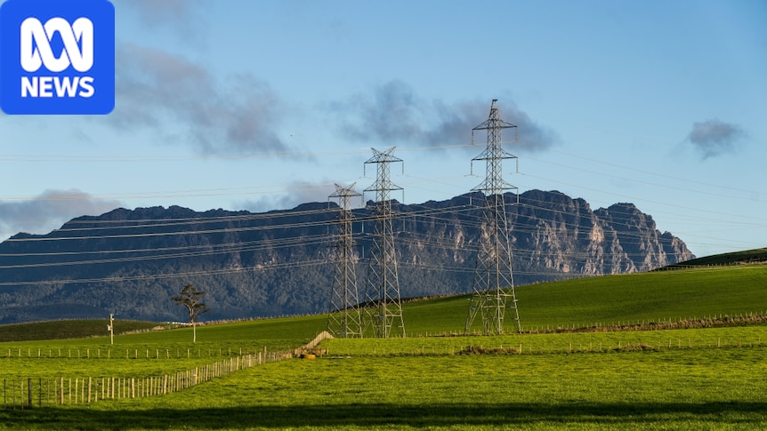 AI data centre company cold calling rural residents about buying Tasmanian land, inquiry told