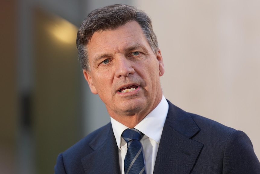 Angus Taylor in a dark blue suit and tie mid-speech, looking to his left.