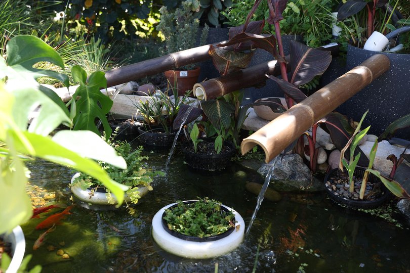 Yanchep garden.