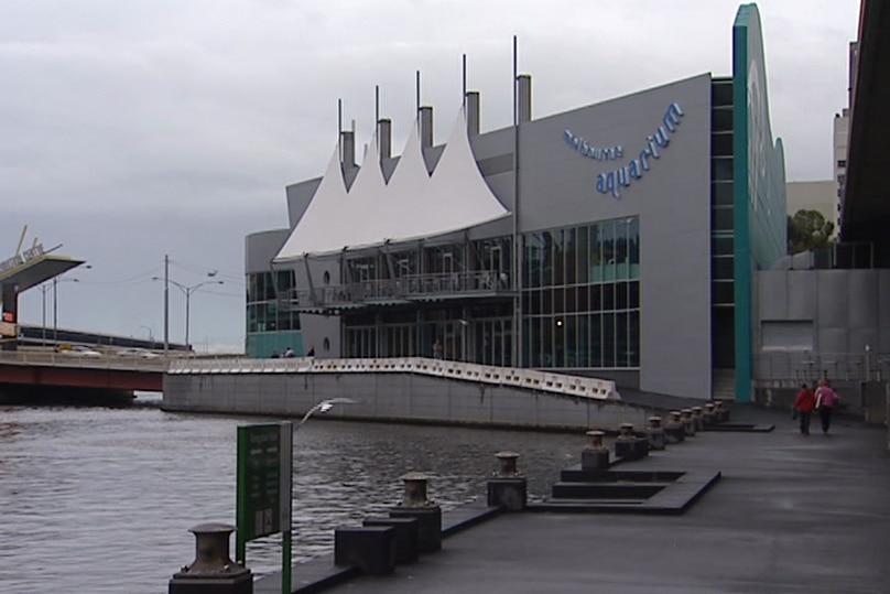 Wide shot of Melbourne Aquarium on the banks of the Yarra River, white sails mounted to the building. It's a gloomy day.