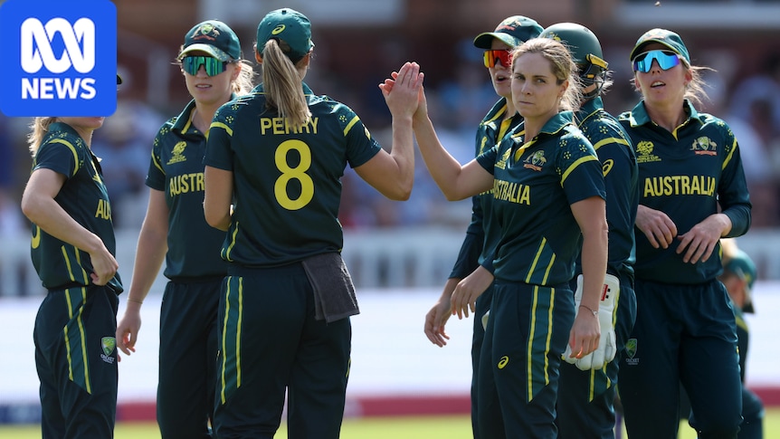 Cricket Australia 'actively' looking at women's schedule as star players raise concerns
