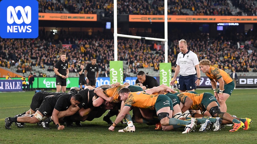 Wallabies set for two Bledisloe Cup games at MCG by 2029 under new deal