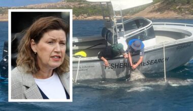 SLSWA to look into shark-finding AI drones ahead of summer - The West Australian