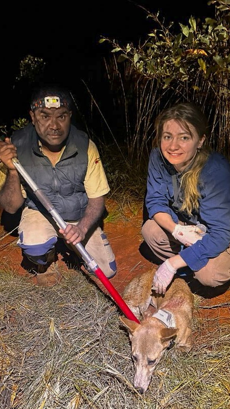 An Aboriginal ranger and a white female researcher squat in the darkness as a small dingo lays on the desert floor.