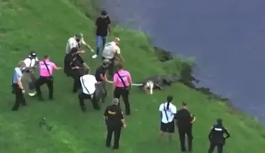 Winter Garden, Florida: Steven Hamilton, 71, remembered after being killed by alligator while fishing in lake