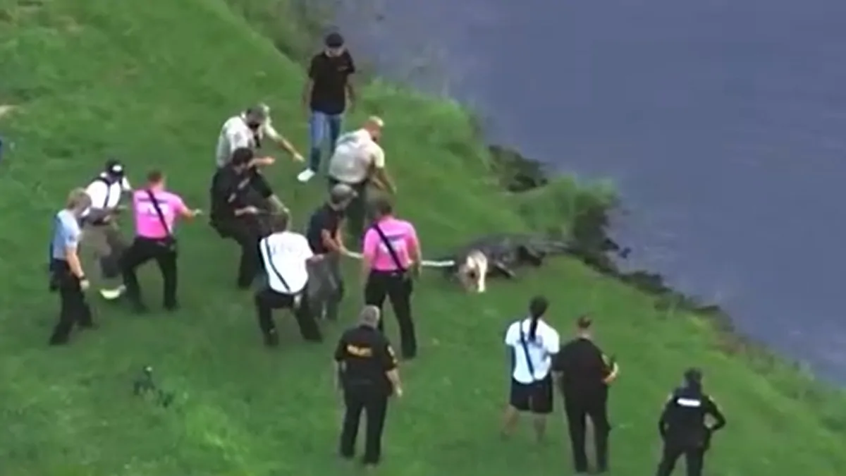 Winter Garden, Florida: Steven Hamilton, 71, remembered after being killed by alligator while fishing in lake