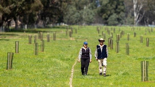 Donna and Jim Winter-Irving on their land where they recently planted hundreds of native trees.