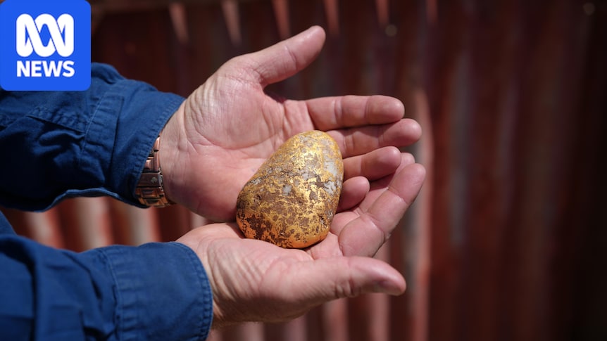 Amateur prospector discovers gold nugget worth $150,000 on outback station