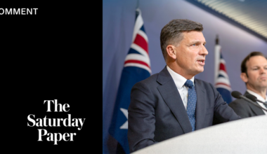 Albanese and Bowen’s Pre-COP gaffe