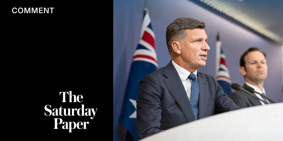 Albanese and Bowen’s Pre-COP gaffe