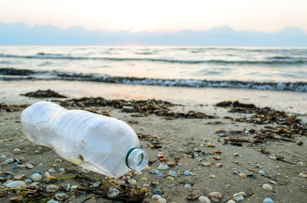 Plastic pollution on a beach (Photo: Shutterstock) זיהום חוף הים