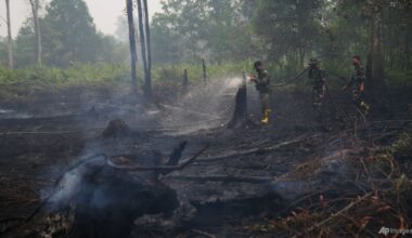 ‘Not as easy as one might imagine’: Poor visibility, wild animals hamper firefighting in Indonesia