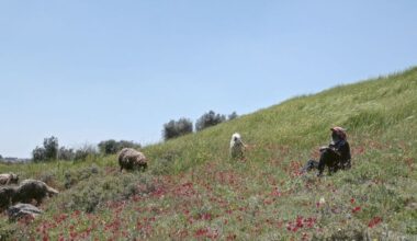 'Concrete Land' film still