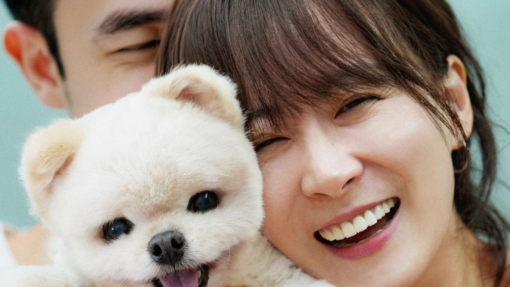 'World of Love' Producer's 'Dog Fight' Bows at Asian Project Market