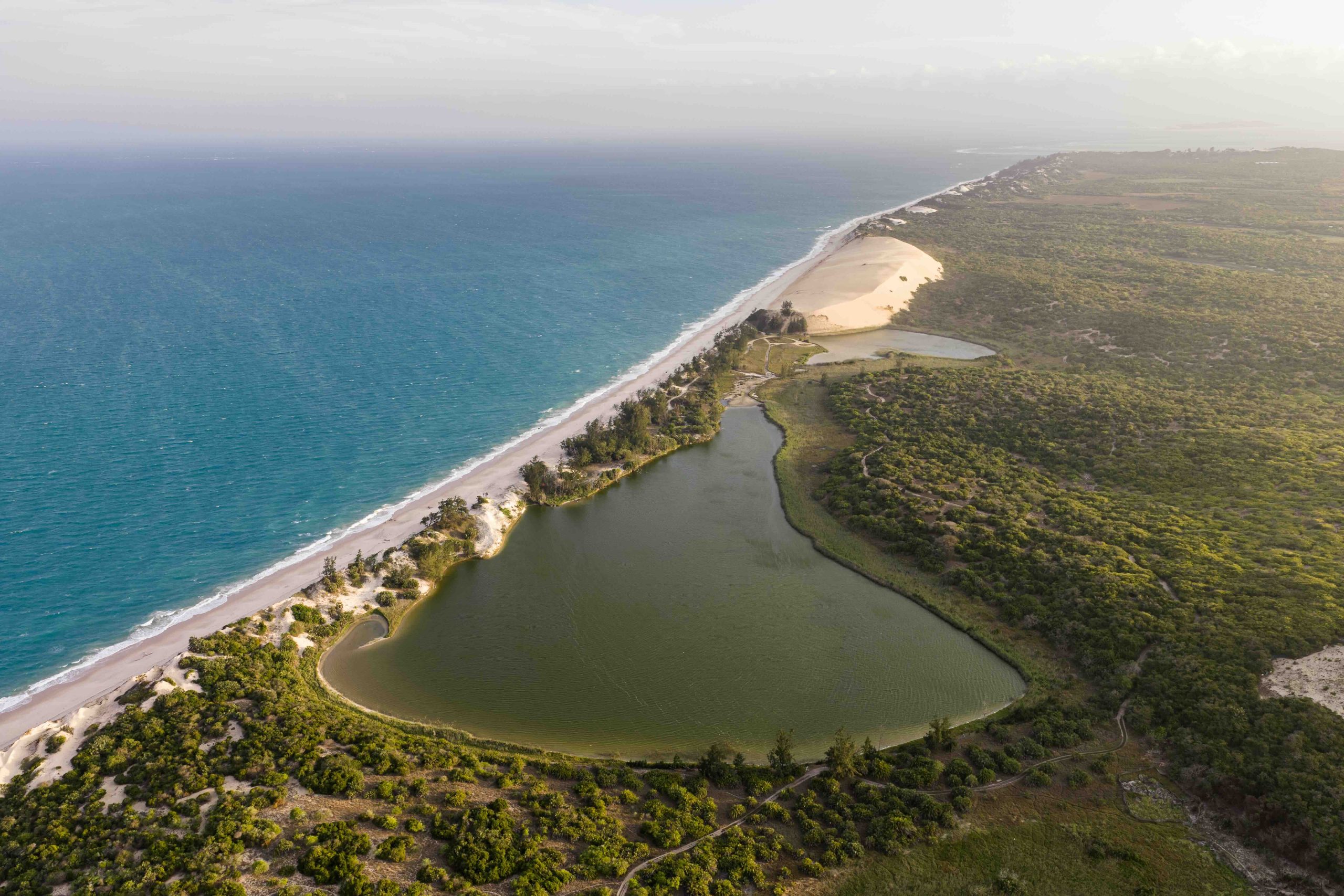 Drowned forests in Mozambique