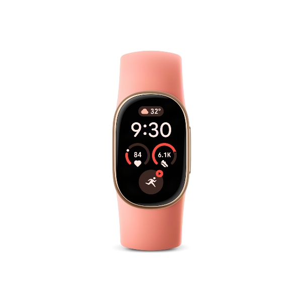 Google Fitbit Edge