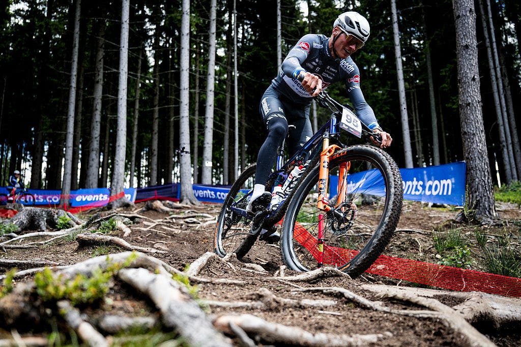 Van der Poel mountain bike